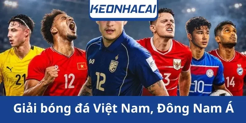 giai-bong-da-viet-nam-dong-nam-a