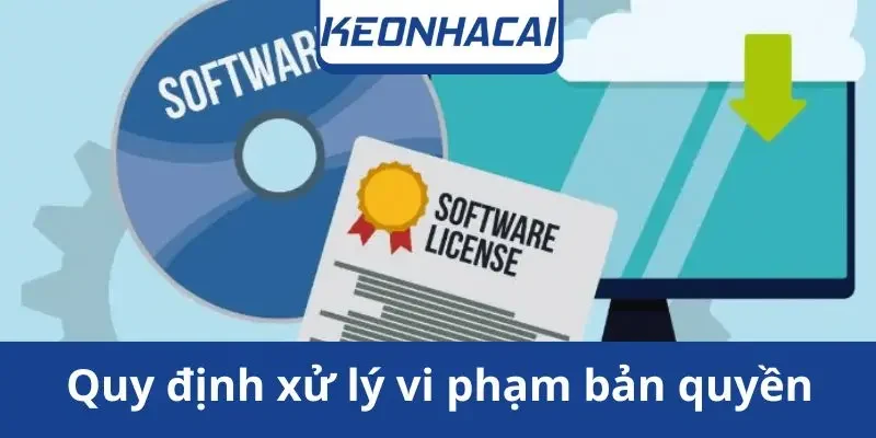 quy-dinh-xu-ly-vi-pham-ban-quyen