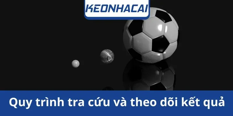 quy-trinh-tra-cuu-va-theo-doi-ket-qua